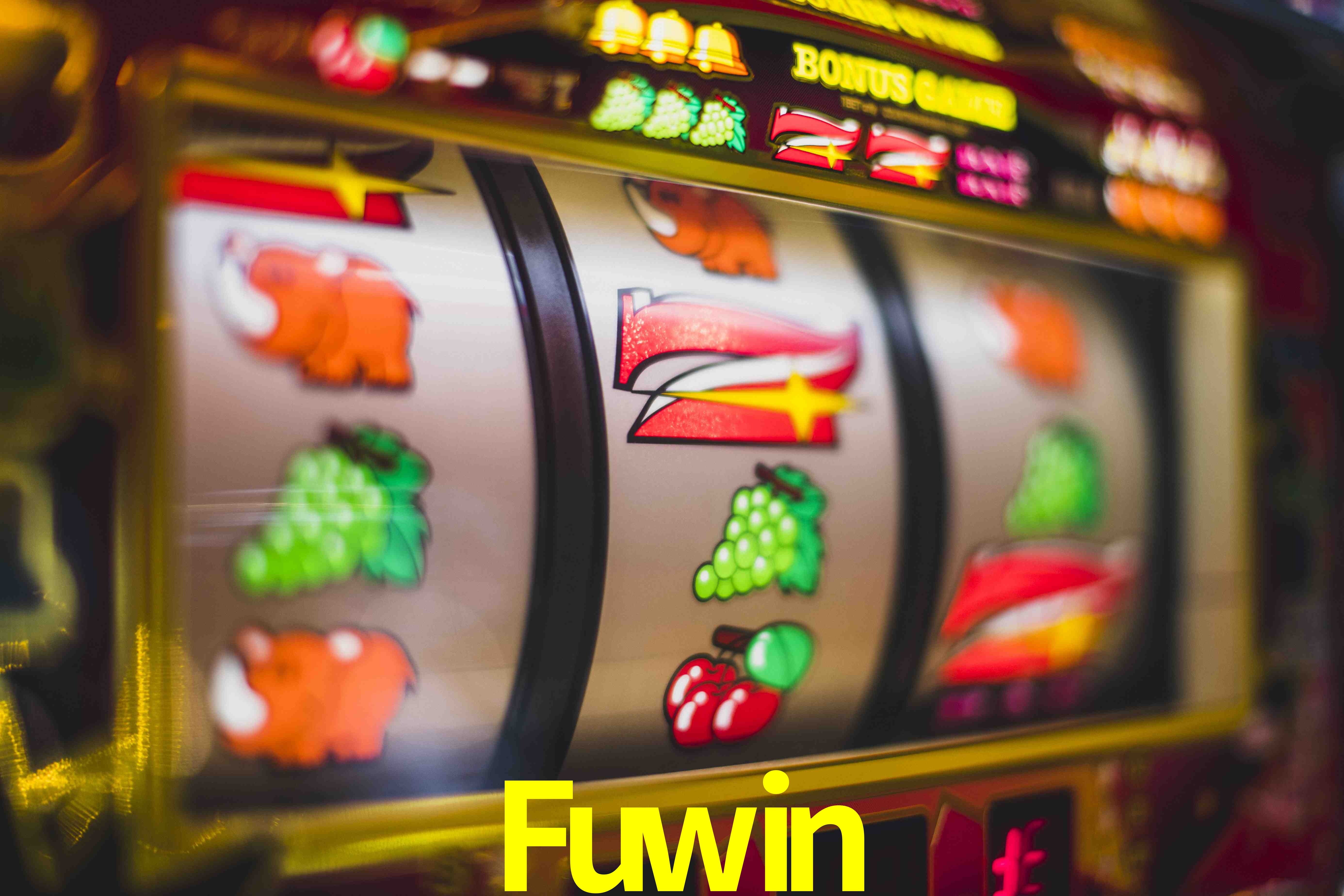 Experiência VIP Fuwin